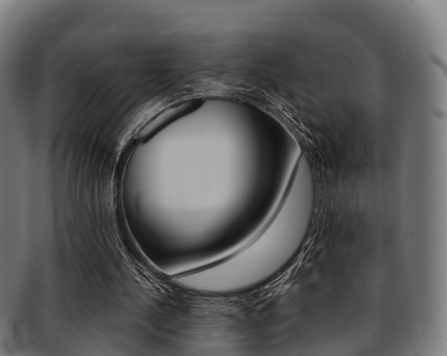 X0000091920244200709051236
