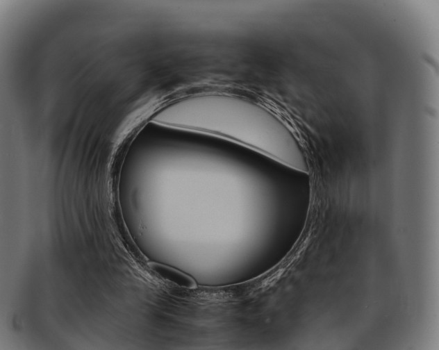 X0000091920245200709051236