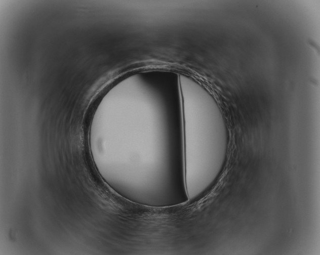 X0000091920247200709051236