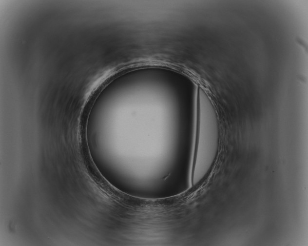 X0000091920248200709051236