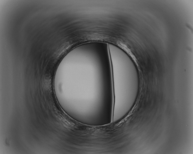 X0000091920249200709051236