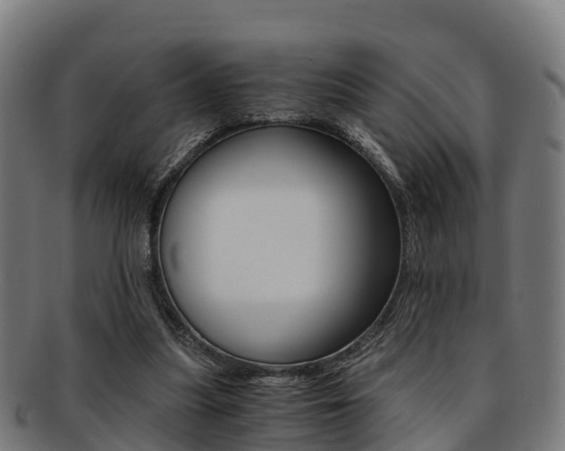 X0000091920251200709051236