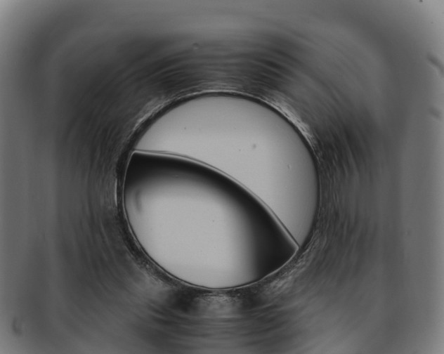 X0000091920253200709051236