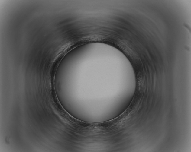 X0000091920254200709051236