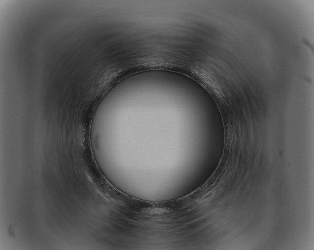 X0000091920255200709051237