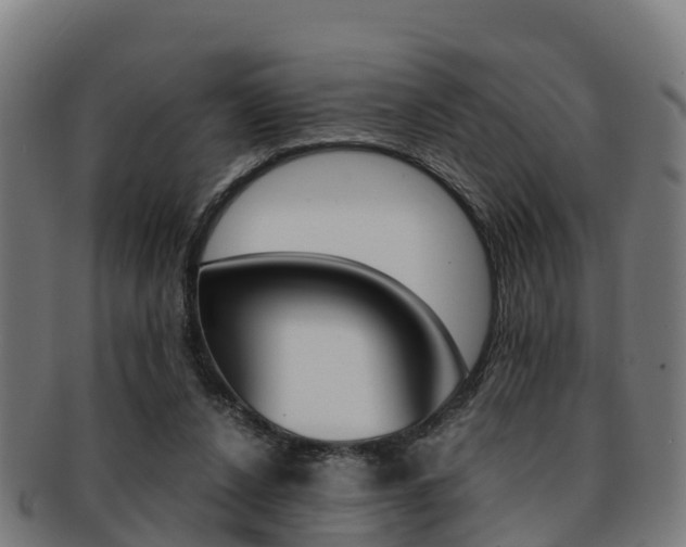 X0000091920256200709051237