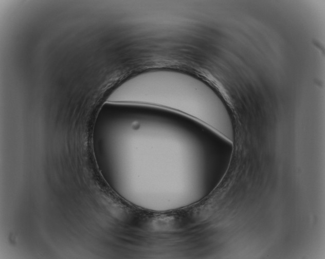 X0000091920257200709051237
