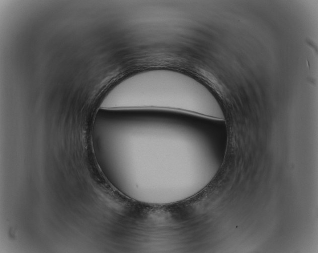 X0000091920258200709051237