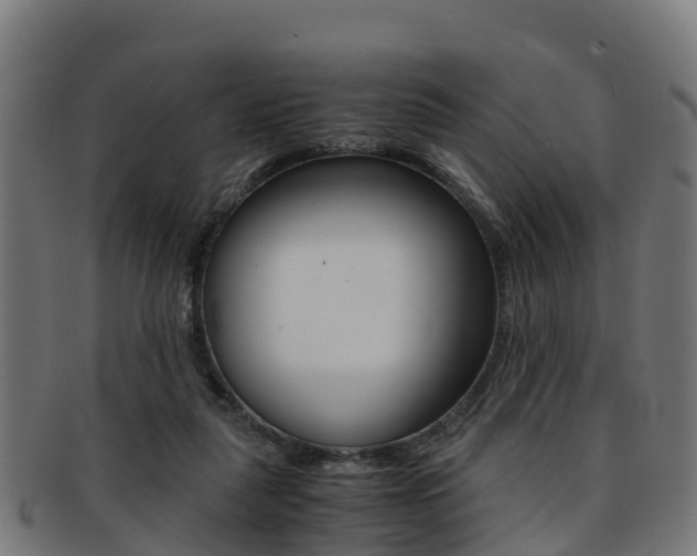 X0000091920259200709051237
