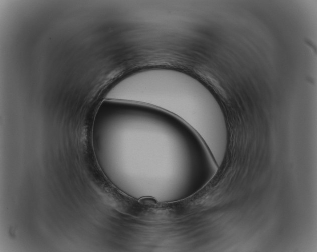 X0000091920260200709051237