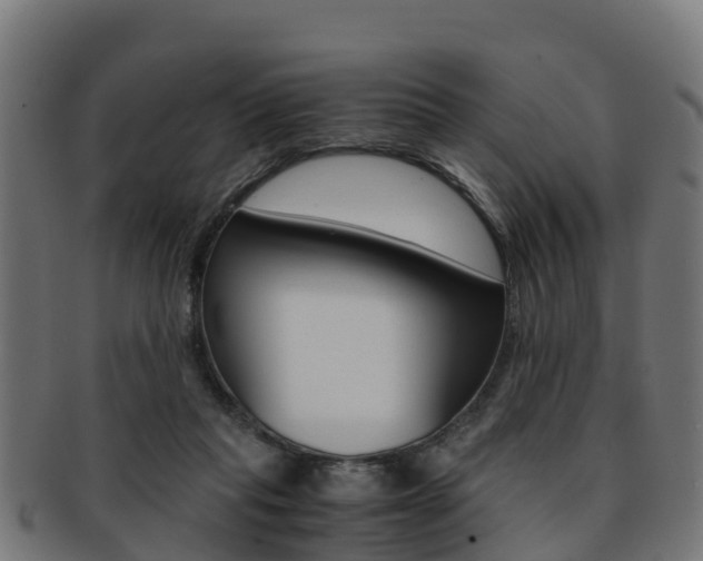 X0000091920261200709051237