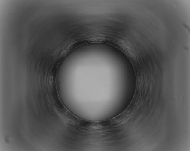 X0000091920263200709051237