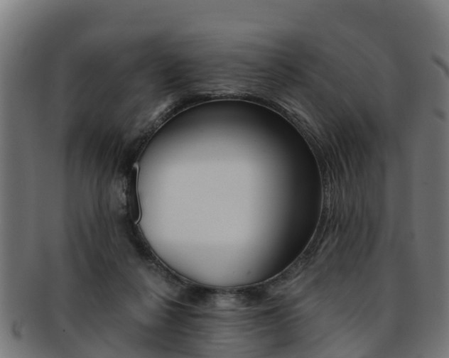 X0000091920264200709051237