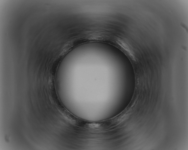X0000091920265200709051237