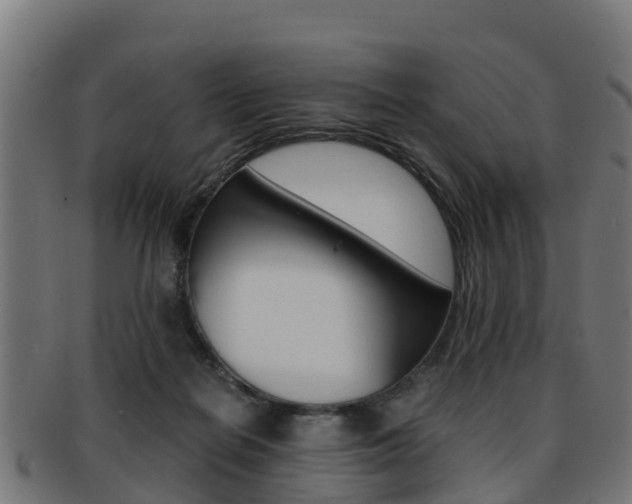 X0000091920266200709051237