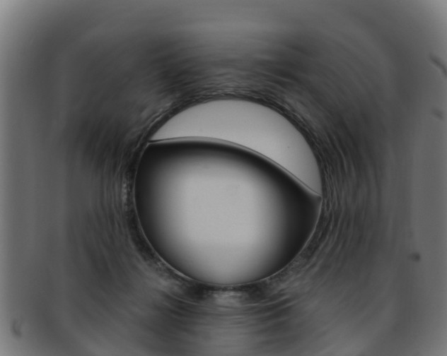 X0000091920268200709051237