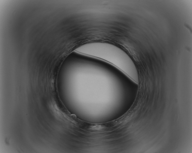 X0000091920269200709051237
