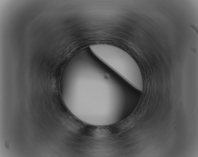 X0000091920270200709051237