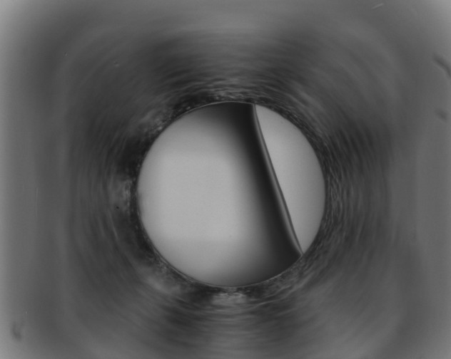 X0000091920271200709051237