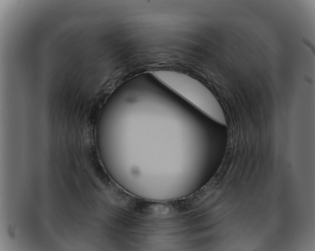 X0000091920272200709051237