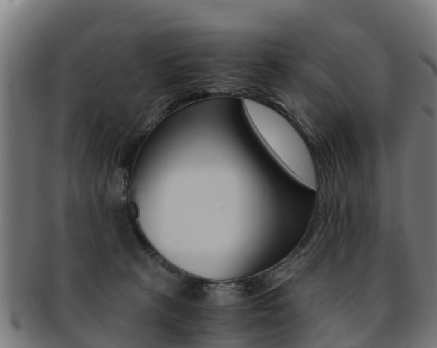 X0000091920273200709051237
