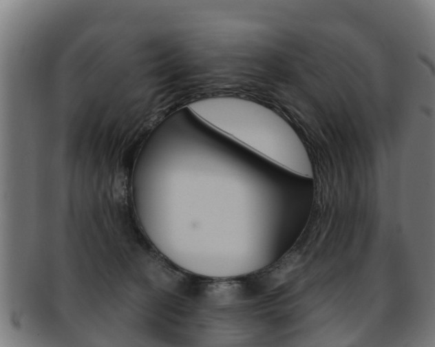 X0000091920274200709051237
