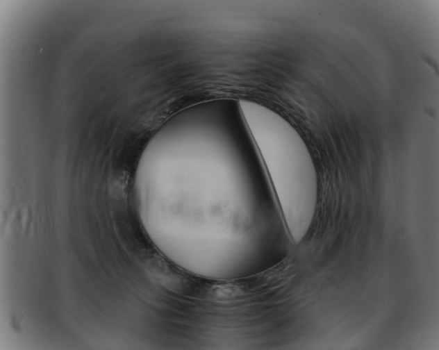 X0000091920275200709051237
