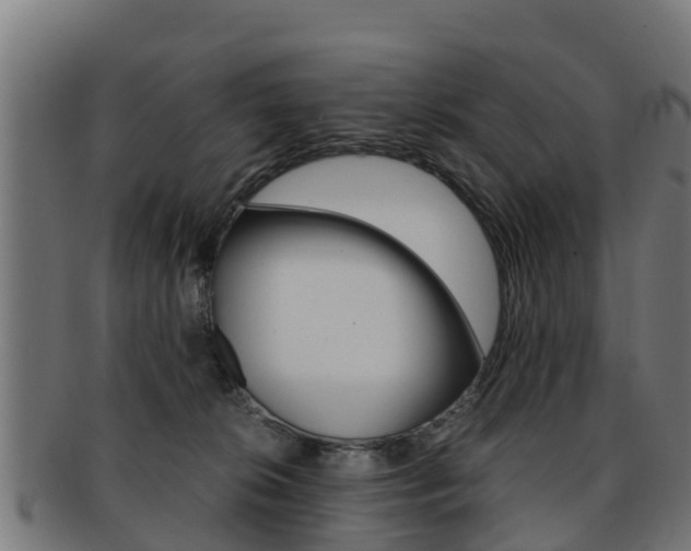 X0000091920276200709051237