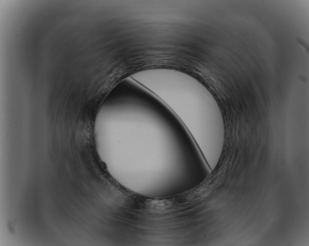 X0000091920277200709051237