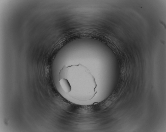 X0000091920278200709051237