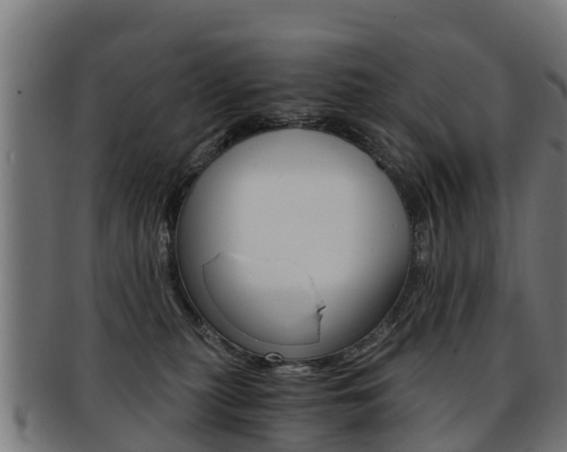 X0000091920279200709051237