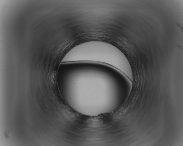X0000091920280200709051237