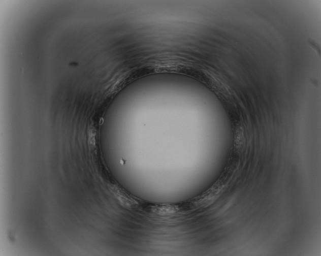 X0000091920282200709051237