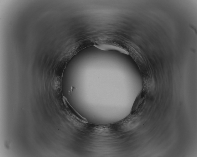 X0000091920284200709051237
