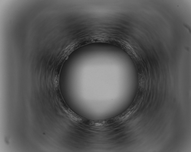 X0000091920285200709051237
