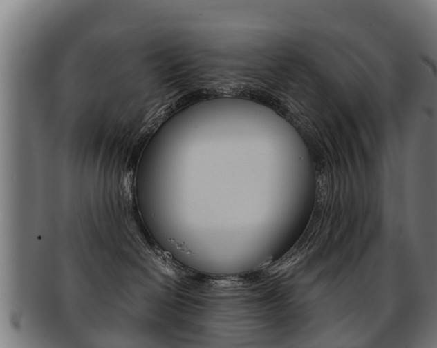 X0000091920286200709051237