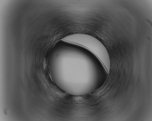 X0000091920287200709051237