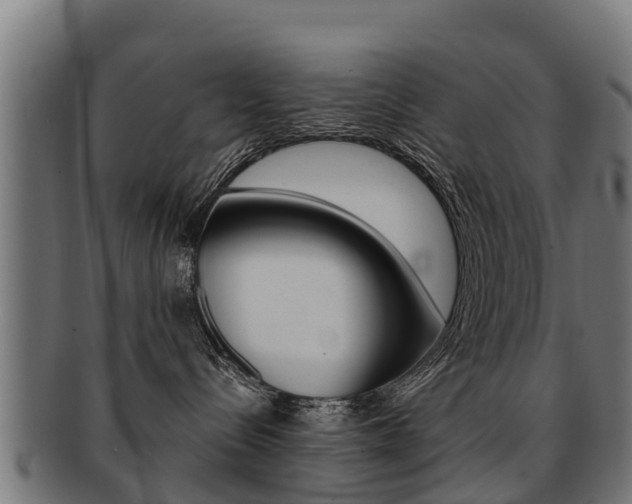 X0000091920288200709051237