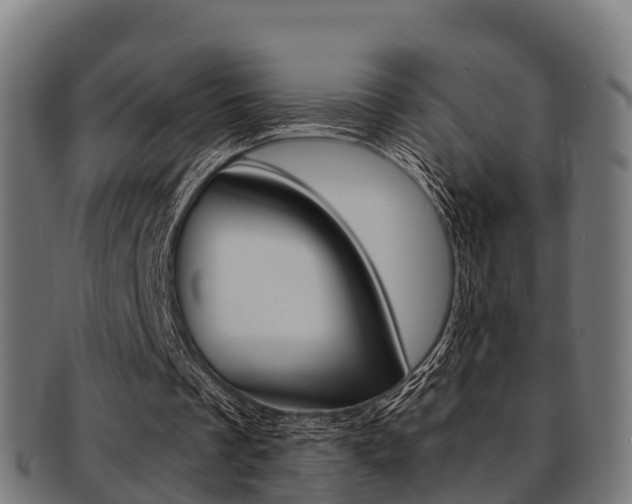 X0000091920289200709051236