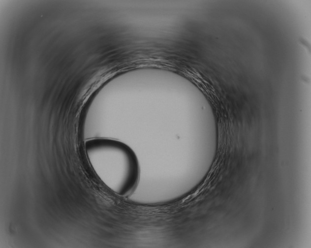 X0000091920291200709051236