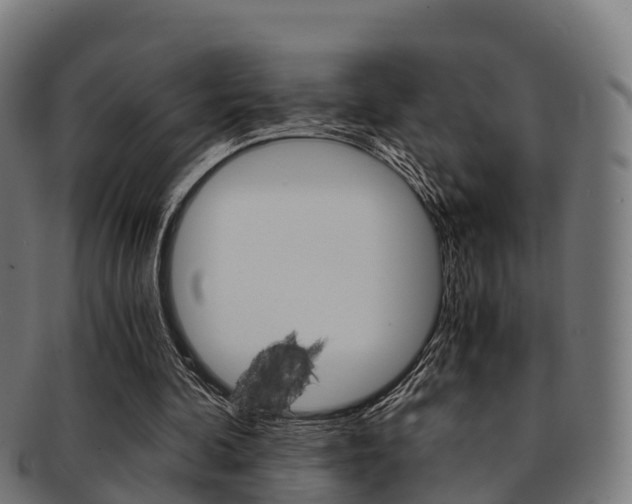 X0000091920292200709051236