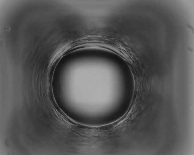 X0000091920293200709051236