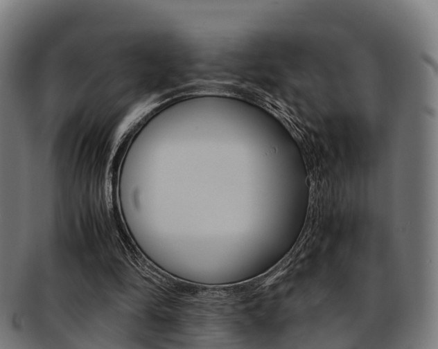X0000091920294200709051236