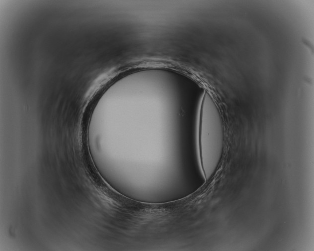 X0000091920296200709051236