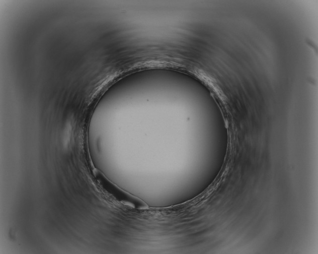 X0000091920297200709051236