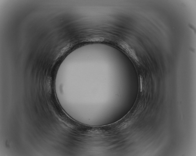 X0000091920300200709051236