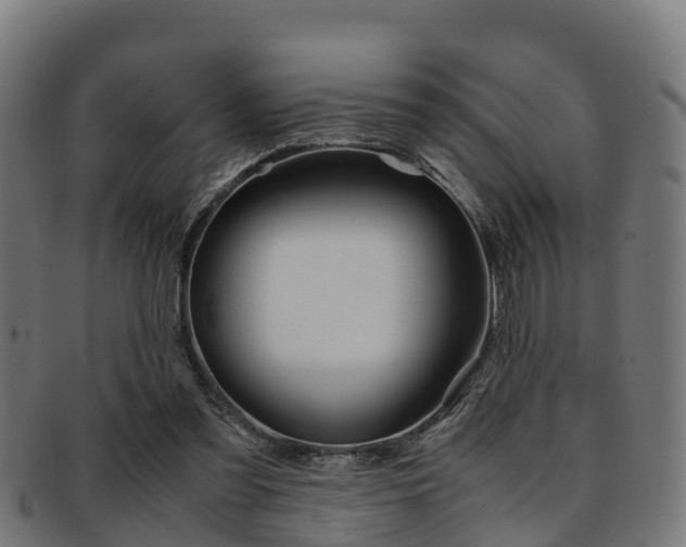 X0000091920301200709051236
