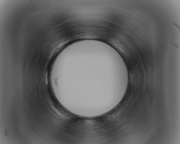 X0000091920302200709051236