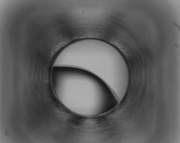 X0000091920303200709051236