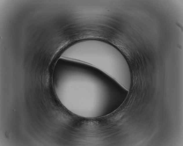 X0000091920304200709051236